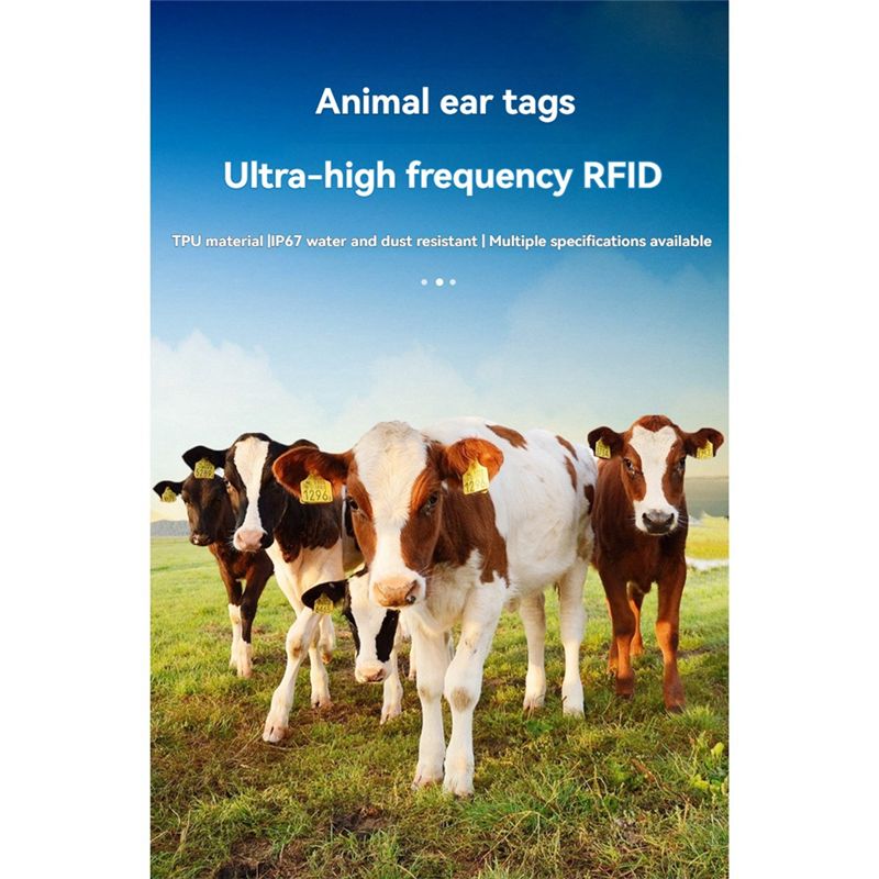 ELECT-100Pcs RFID Animal Ear T - Election Electronics & Gadgets Store Woocommerce Theme ulasan dan harga